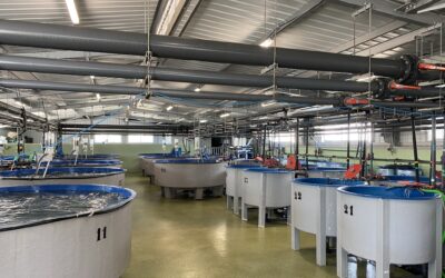Advantage of a control system for research centers (3)